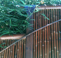 Bamboo projects and publications